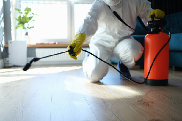 Reliable Biohazard Cleanup contractor in Pembroke Pines, FL by Trauma Clean Pros